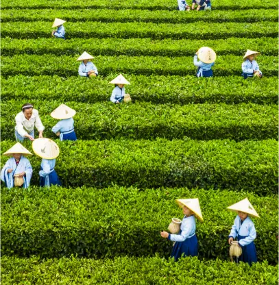 上海探店手册｜魔都同城指南｜美食地图：解锁隐藏在城市角落的味觉密码🔍