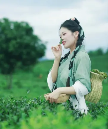 上海网球搭子看过来！上海哪里有室内网球场？旗忠网球中心周边好预约的室内场地全在这🎾