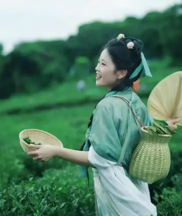 上海品茶新潮流：新中式茶馆与私人茶艺工作室为何一席难求？