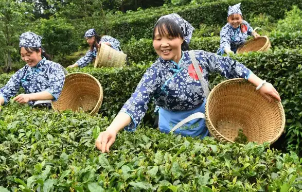 上海探店手册｜魔都同城指南｜美食地图：解锁隐藏在城市角落的味觉密码🔍