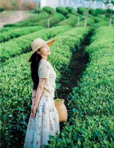 上海夜生活指南：解锁同城交友活动的品茶休闲新玩法