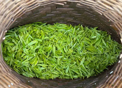 上海安福路一杯咖啡的时间，解锁上海怎么找街拍搭子的隐藏玩法☕