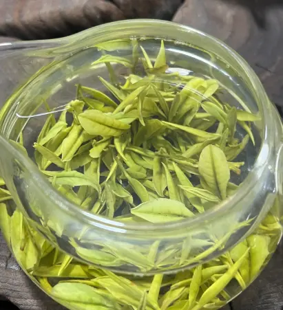 上海探店手册｜魔都同城指南｜美食地图：解锁隐藏在城市角落的味觉密码🔍