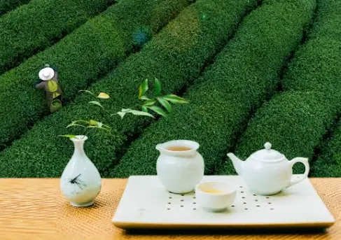 上海同城美食休闲夜游为何成为本地打卡社交新宠？🌃