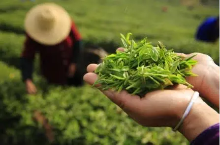 上海单身汇究竟藏着多少海归精英？揭秘魔都高质量交友圈入场法则