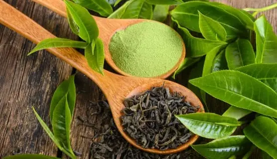 茯砖茶怎么泡才够味？金花到底是什么宝贝？一文讲透